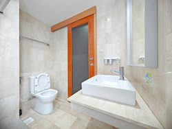 The Lakeshore (D22), Condominium #607506261